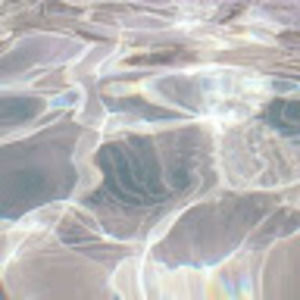 Meet your Posher, Brijae